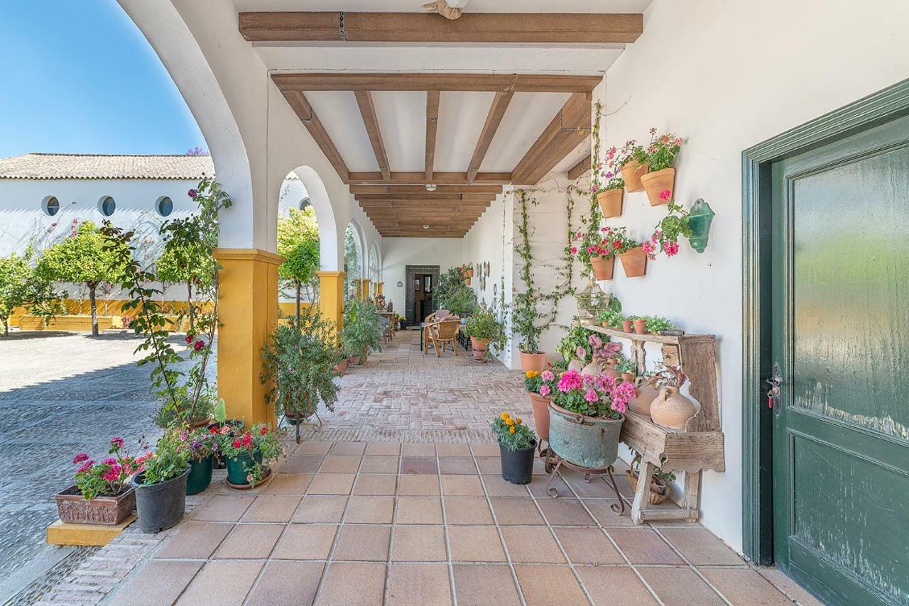 Cortijo con piscina a 30 min de Jerez Villa Arcos de la Frontera Exterior foto